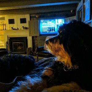 Meet your Posher, June